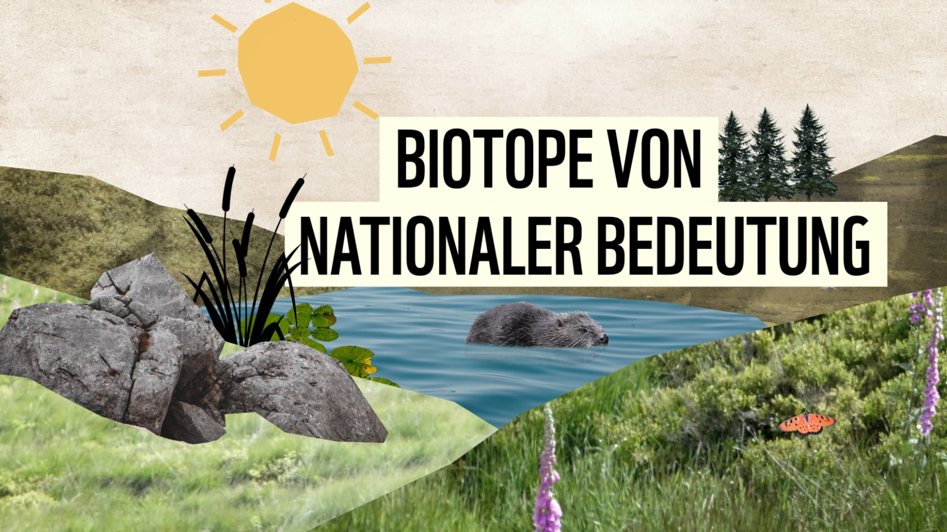 WWF – Biotope von nationaler Bedeutung