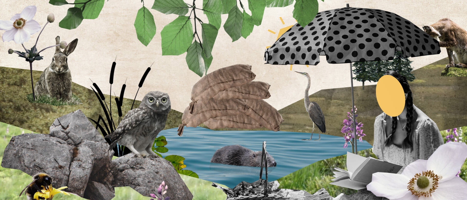 WWF_Biotope_822 WWF_Biotope_822